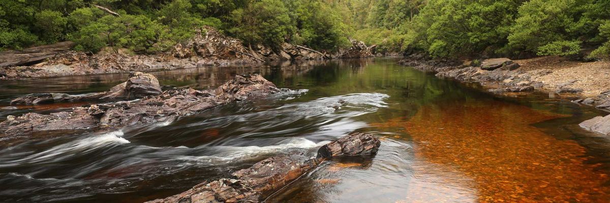 Franklin River (Tasmania) - WhiteWater Rafting