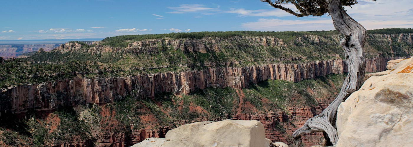Importance of Protecting and Conserving the Grand Canyon