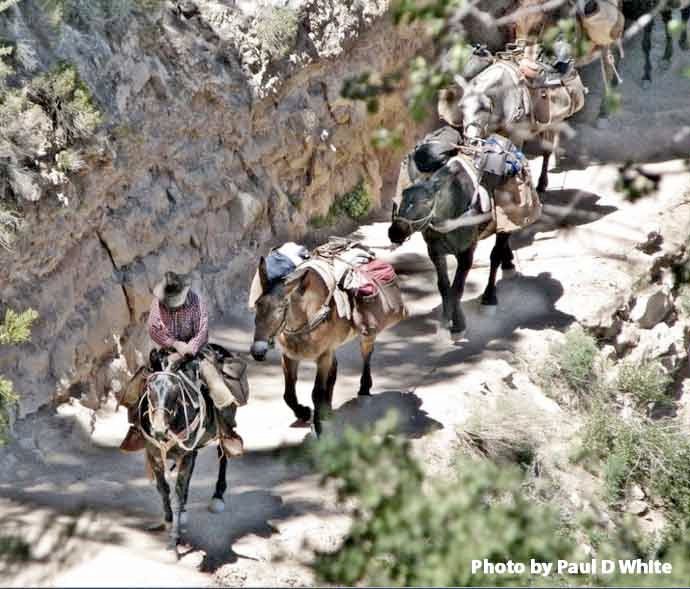 Duffel Service Grand Canyon | Advantage Grand Canyon