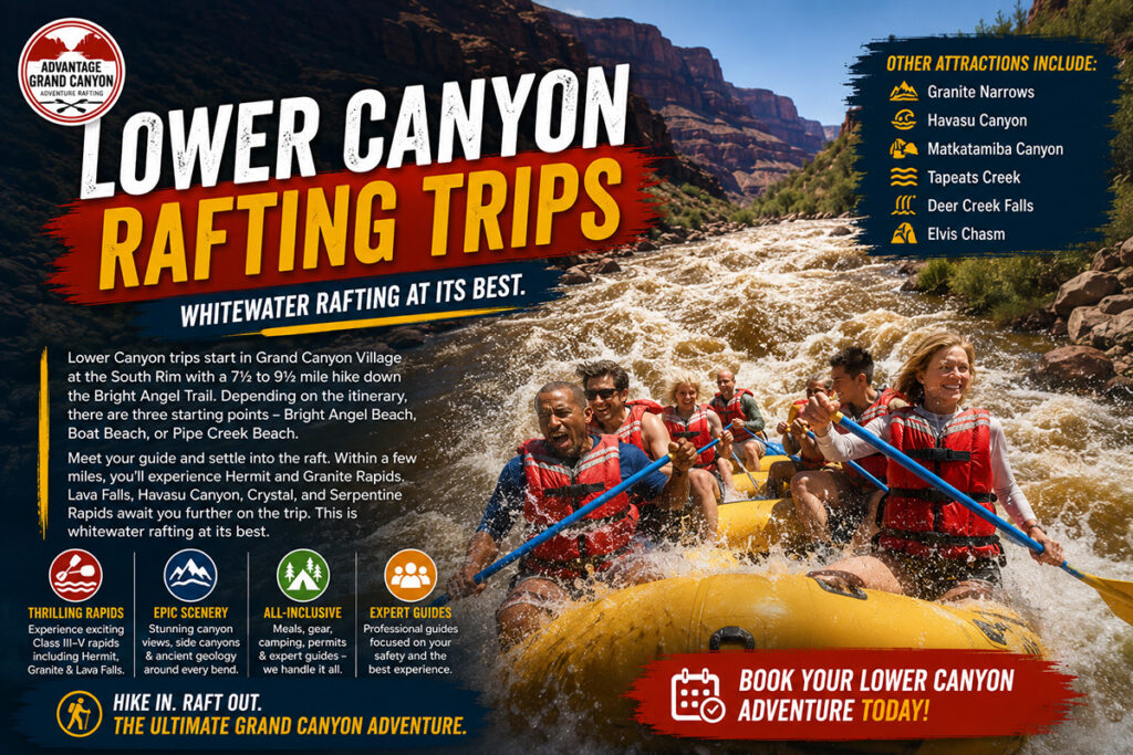Lower Canyon Trips